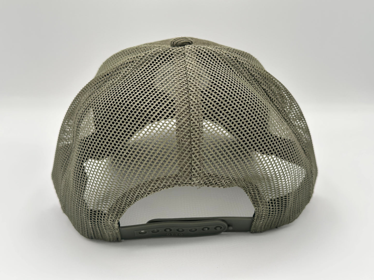 Big Horn Sheep - CSU_esque