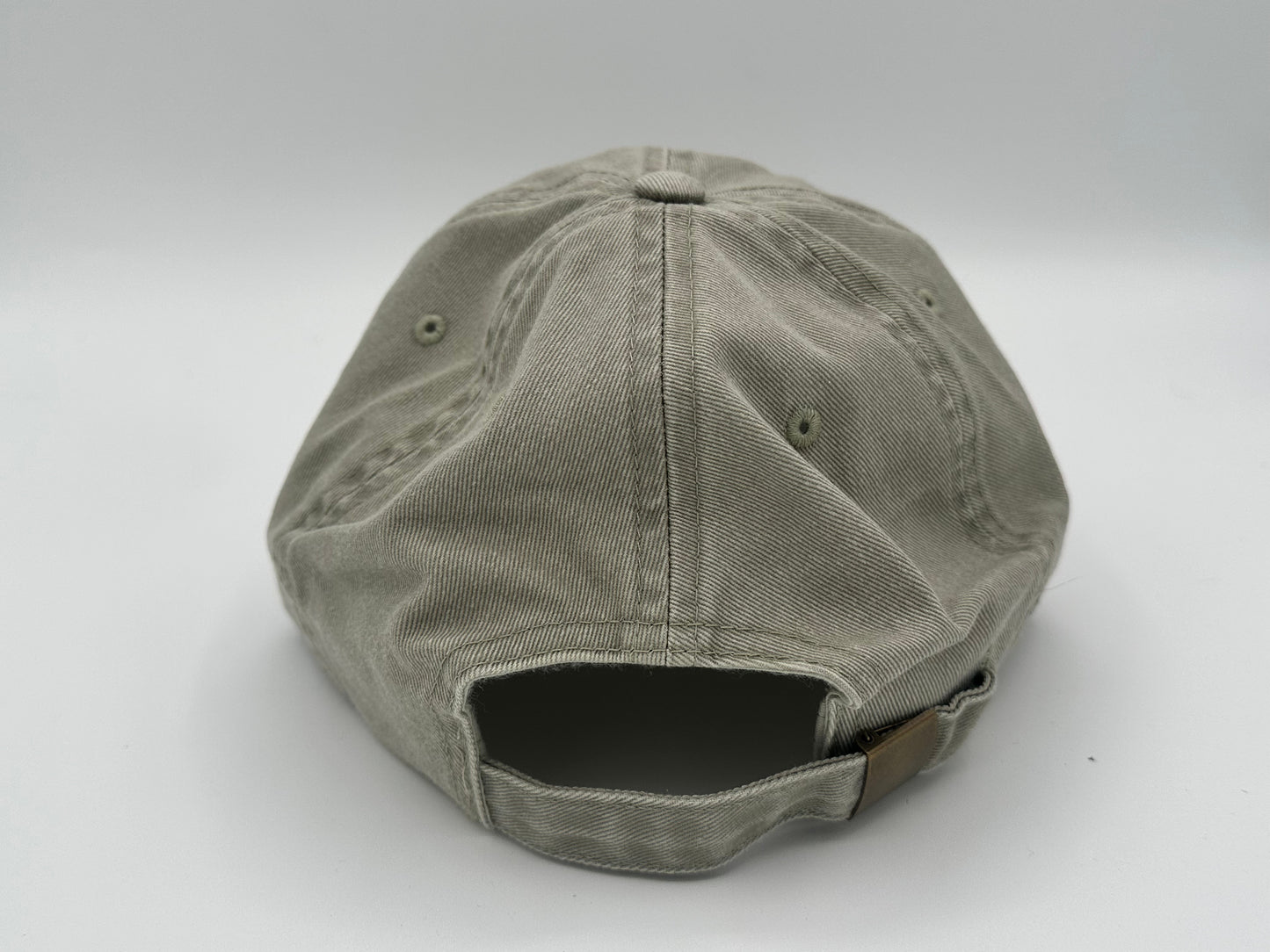 Snow Capped Mountains CO Sun