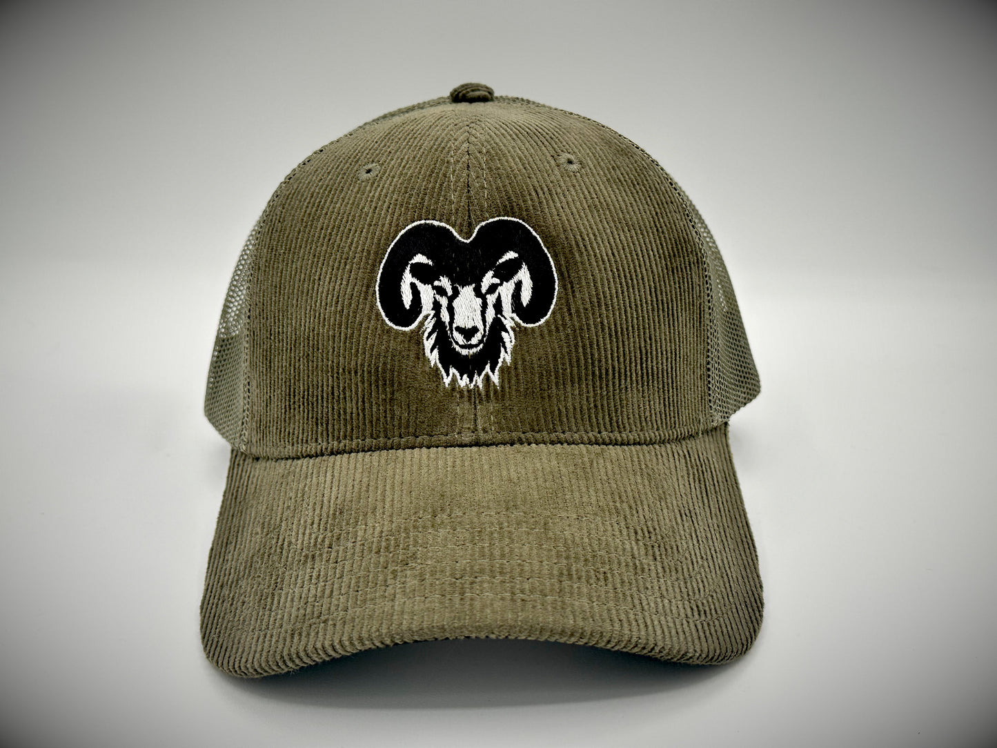 Big Horn Sheep - CSU_esque