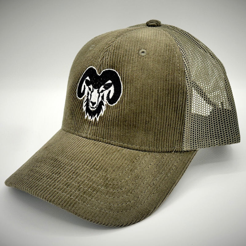 Big Horn Sheep - CSU_esque