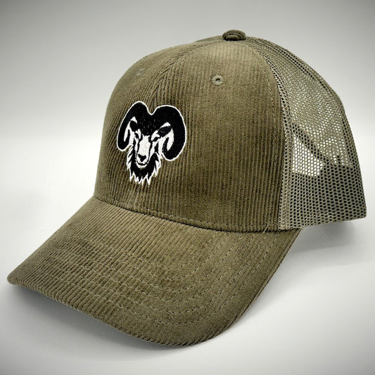 Big Horn Sheep - CSU_esque