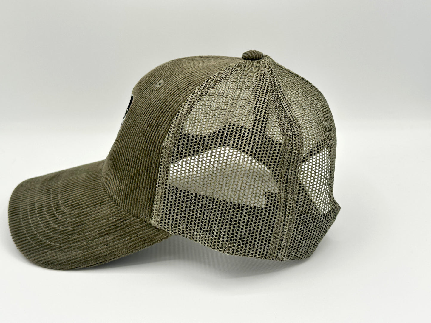 Big Horn Sheep - CSU_esque